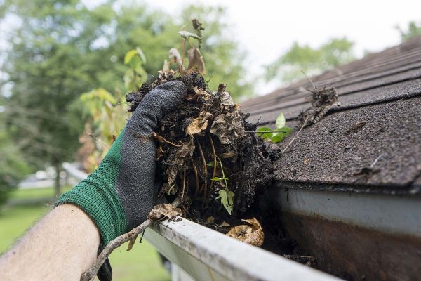 clogged-gutter-on-shingle-roof